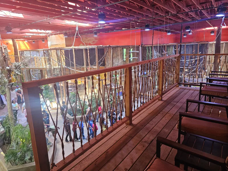 Signature Animal Kingdom Suite